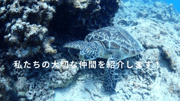私たちの大切な仲間を紹介します！ #3